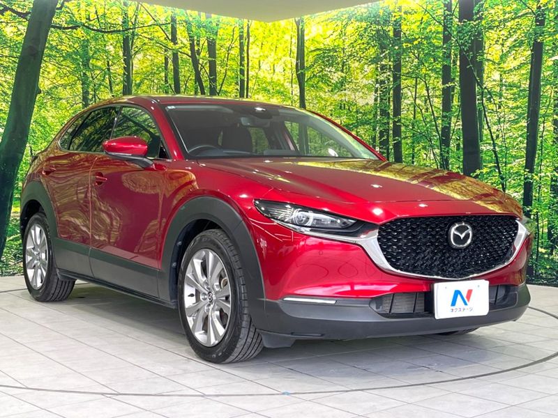 2020 Mazda CX-30 5BA-DMEP (UW-6a8128adf39df)[18]