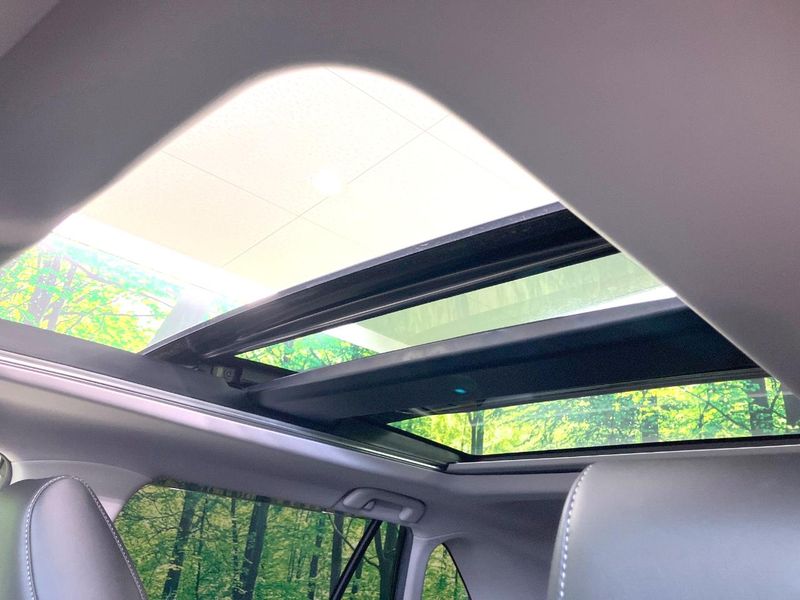 2019 Toyota RAV4 6AA-AXAH54 (UW-6a8279bbd2e24)[12]