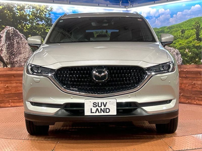 2021 Mazda CX-8 6BA-KG5P (UW-6a827b151431e)[22]