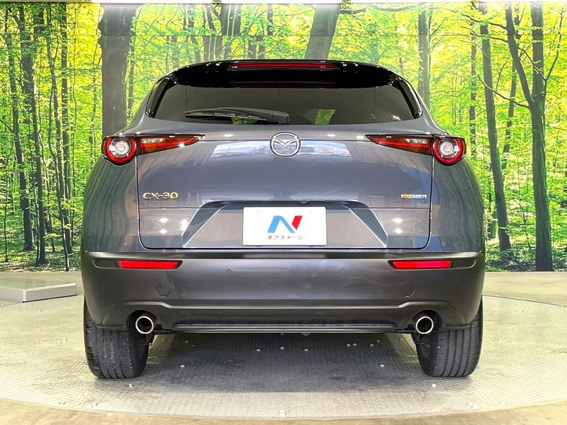 2021 Mazda CX-30 5BA-DMEP (UW-6a83cbc7720f7)[10]