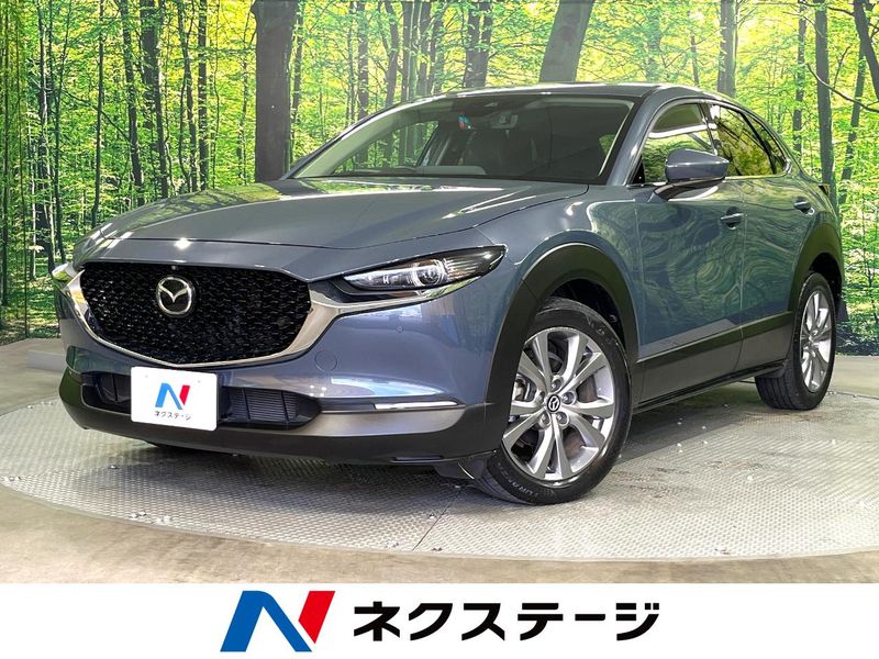 2021 Mazda CX-30 5BA-DMEP (UW-6a83cbc7720f7)[3]