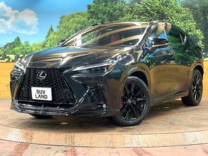 2023 Lexus NX 6AA-AAZH25