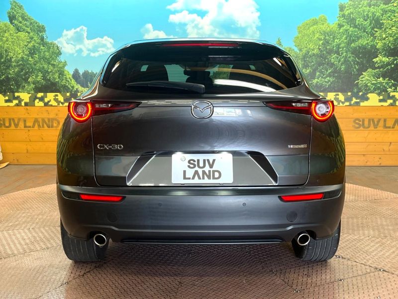 2023 Mazda CX-30 5AA-DMEJ3P (UW-6a851d670e2d8)[7]