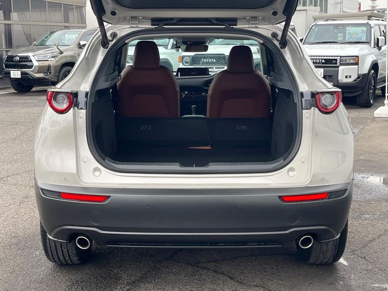 2024 Mazda CX-30 3DA-DM8R (UW-6a87c06df0d1c)[27]