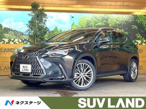 2023 Lexus NX 6AA-AAZH20