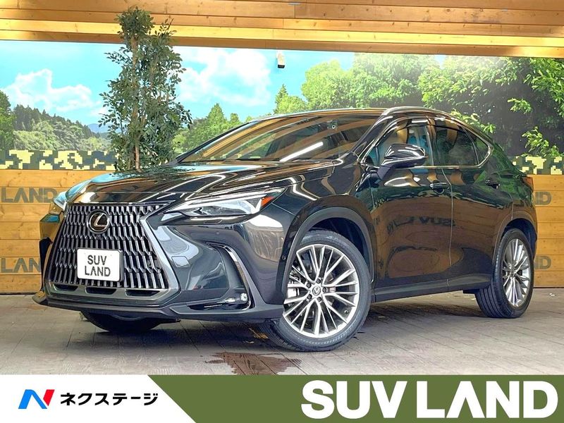 2023 Lexus NX 6AA-AAZH20 (UW-6a89117eb18cd)[0]