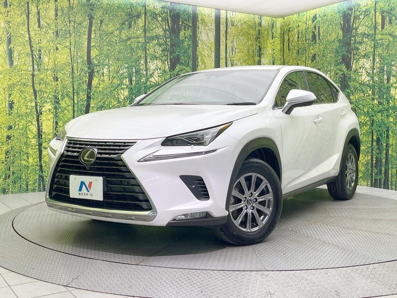 2019 Lexus NX DBA-AGZ10 (UW-6a8911a449a18)[0]