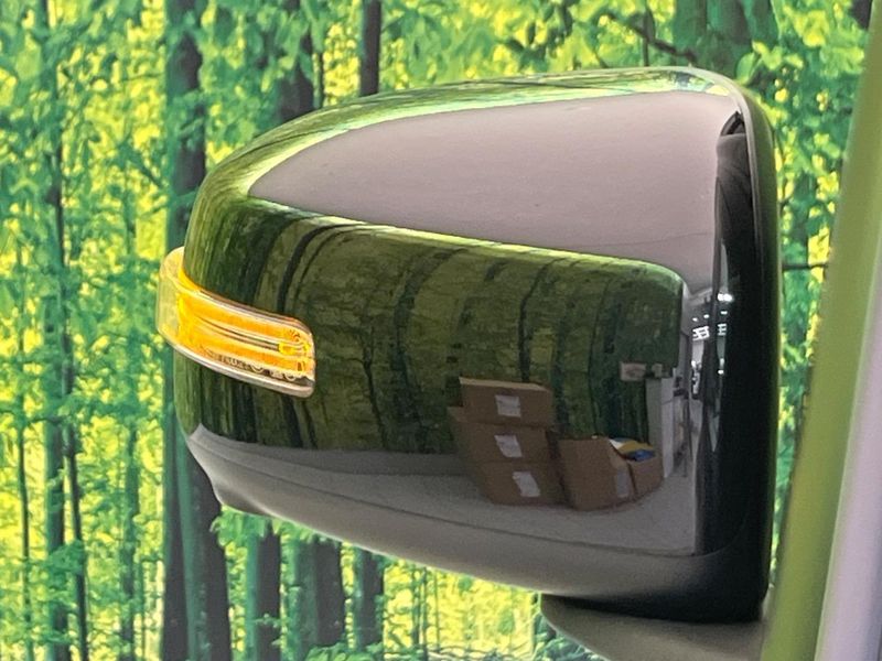 2019 Nissan DAYZ ROOX DBA-B21A (UW-6a8911e030f7e)[12]