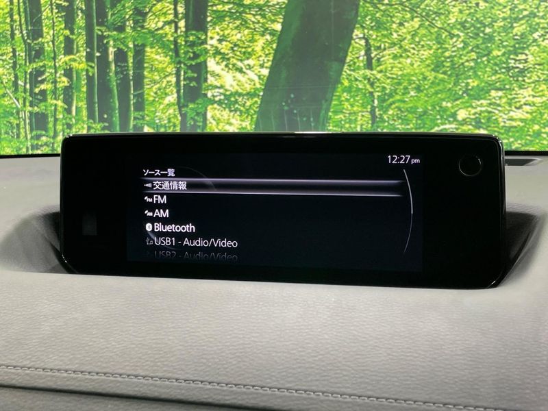 2022 Mazda MX-30 5AA-DREJ3P (UW-6a89122927a33)[7]
