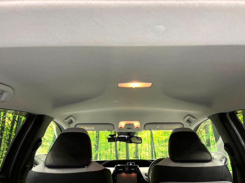 2016 Toyota Prius DAA-ZVW51 (UW-6a89153a35612)[11]