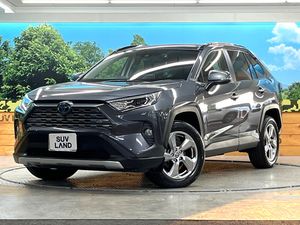 2020 Toyota RAV4 6AA-AXAH54
