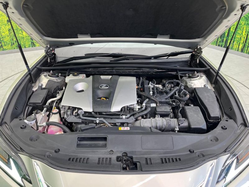 2019 Lexus ES 6AA-AXZH10 (UW-6a8a634d4fdcb)[4]