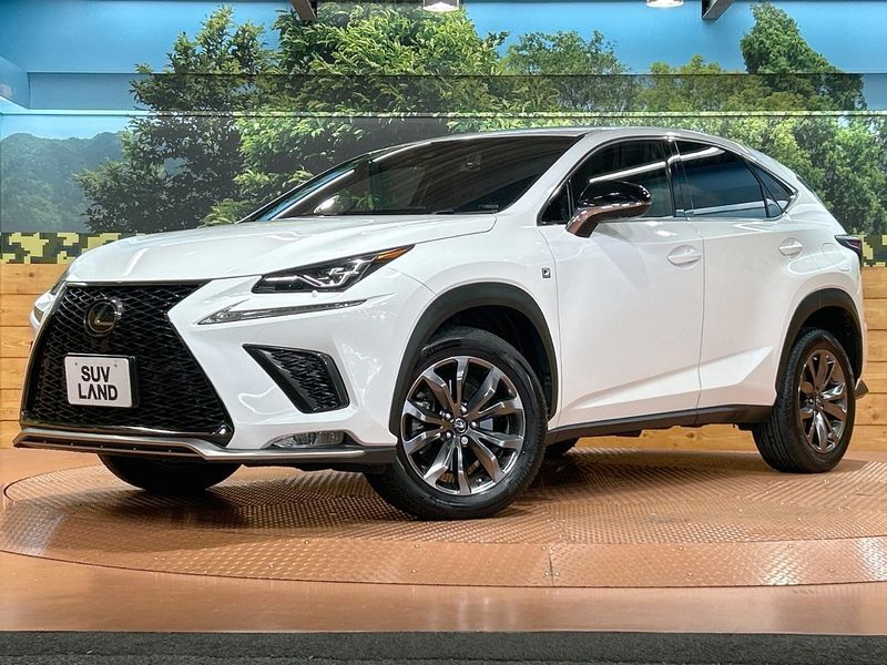 2018 Lexus NX DBA-AGZ10 (UW-6a8bb49c0df82)[0]