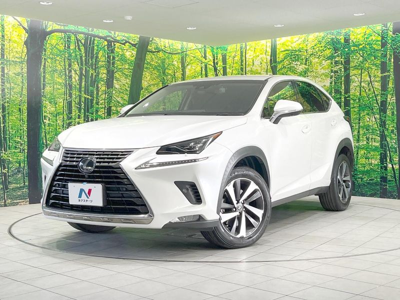 2018 Lexus NX DBA-AGZ10 (UW-6a8bb49c5582c)[0]