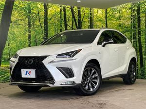 2020 Lexus NX 3BA-AGZ10