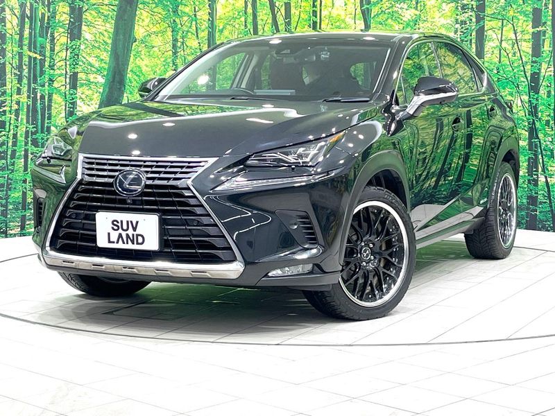 2018 Lexus NX DAA-AYZ10 (UW-6a8bb4c0f2c88)[0]