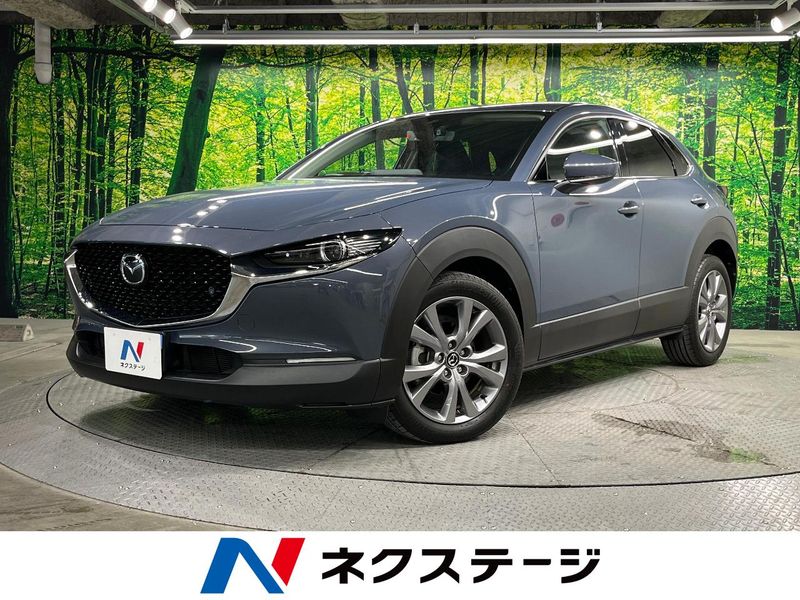 2021 Mazda CX-30 5BA-DMEP (UW-6a8bb51d3808f)[3]
