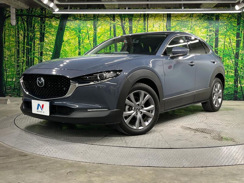2021 Mazda CX-30 5BA-DMEP (UW-6a8bb51d3808f)[0]