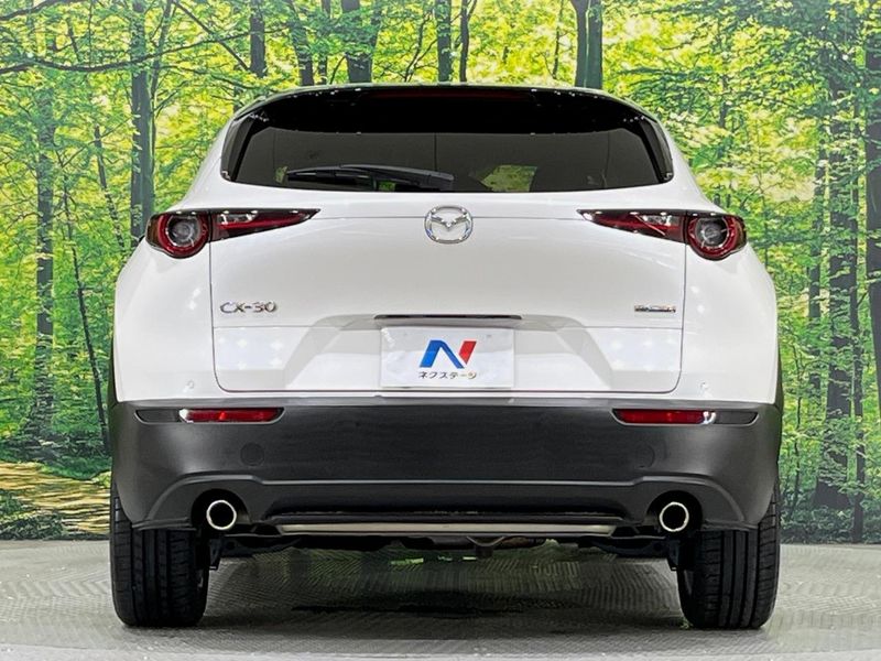 2021 Mazda CX-30 5BA-DMEP (UW-6a8bb51d67ea5)[15]