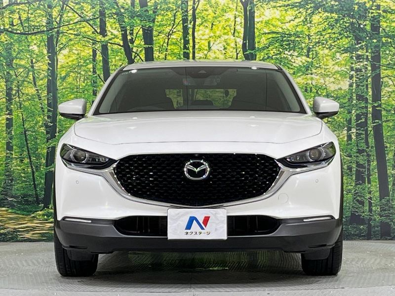 2021 Mazda CX-30 5BA-DMEP (UW-6a8bb51d67ea5)[19]