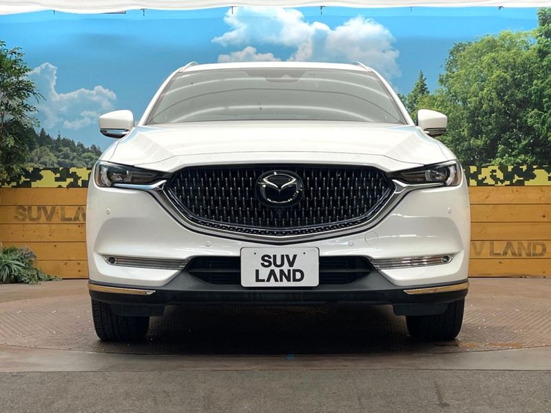 2021 Mazda CX-8 3da-kg2p (UW-6a8bb6160f184)[11]