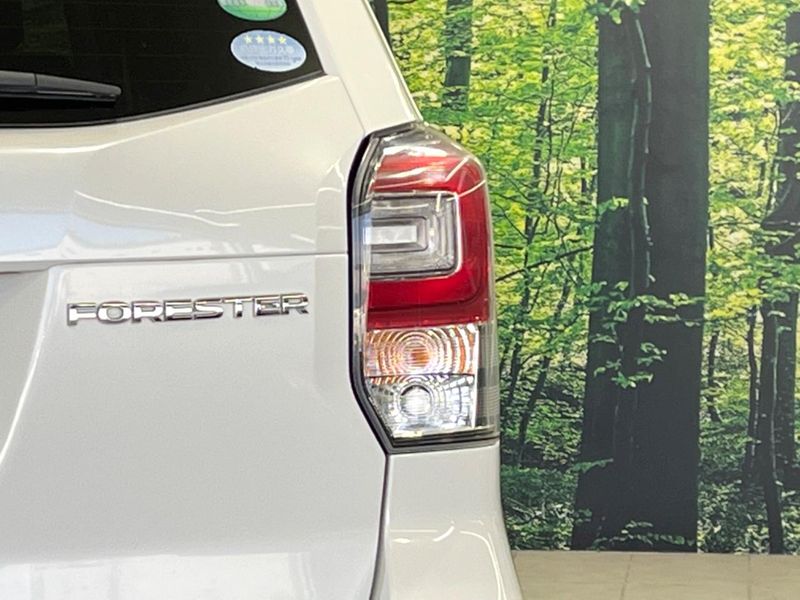 2015 Subaru Forester DBA-SJ5 (UW-6a8bb79cdc0f1)[15]
