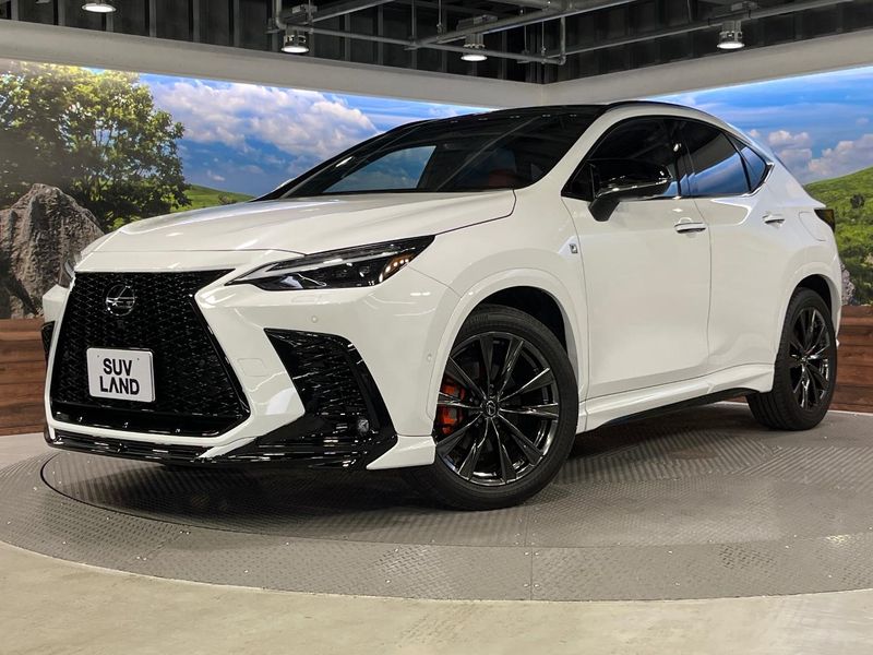 2023 Lexus NX 6AA-AAZH20 (UW-6a8d06142ba66)[0]