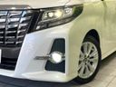 2017 Toyota Alphard DBA-AGH30W (UW-6a8d061bc6853)[14]