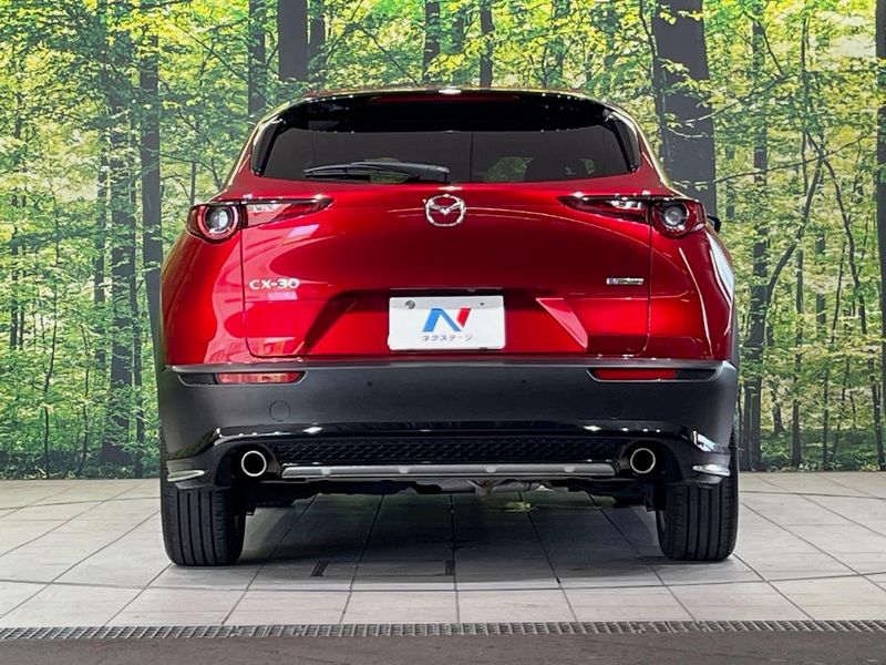 2022 Mazda CX-30 5AA-DMEJ3P (UW-6a8d06c1b3511)[9]