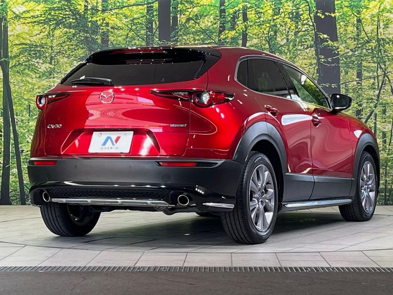 2022 Mazda CX-30 5AA-DMEJ3P (UW-6a8d06c1b3511)[8]