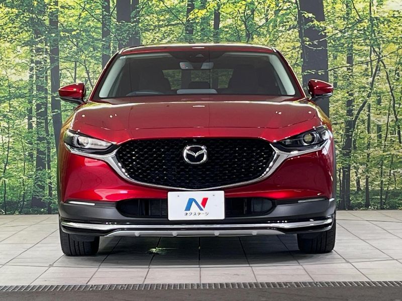 2022 Mazda CX-30 5AA-DMEJ3P (UW-6a8d06c1b3511)[5]
