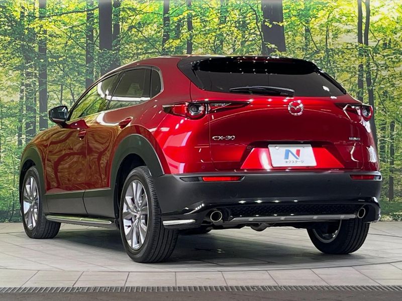 2022 Mazda CX-30 5AA-DMEJ3P (UW-6a8d06c1b3511)[10]
