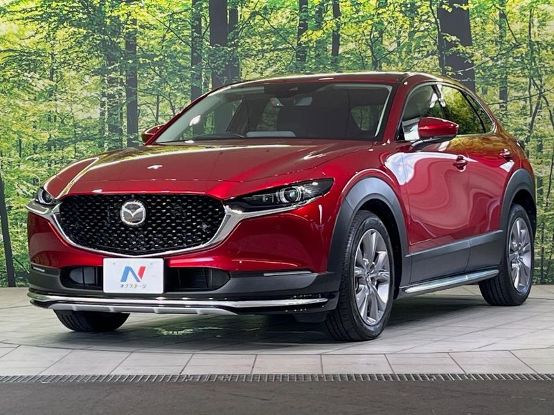 2022 Mazda CX-30 5AA-DMEJ3P (UW-6a8d06c1b3511)[4]
