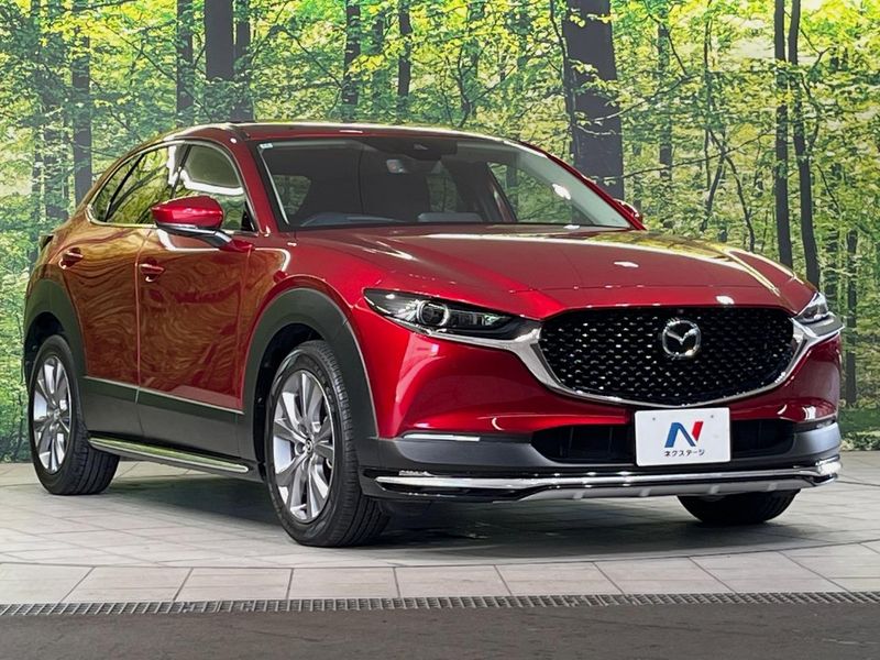 2022 Mazda CX-30 5AA-DMEJ3P (UW-6a8d06c1b3511)[6]