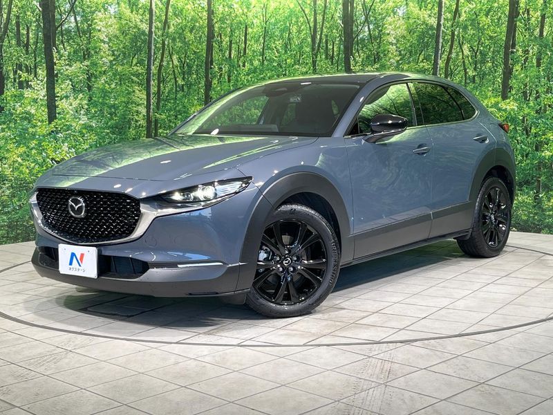 2024 Mazda CX-30 5AA-DMEJ3R (UW-6a8d06c22533c)[0]