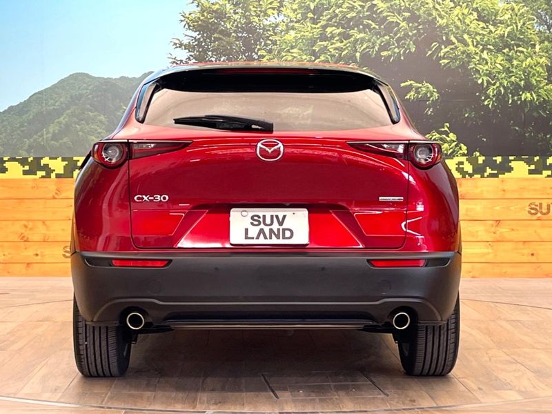 2019 Mazda CX-30 5BA-DMEP (UW-6a8d06c2b93ed)[5]
