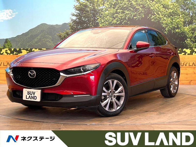 2019 Mazda CX-30 5BA-DMEP (UW-6a8d06c2b93ed)[3]