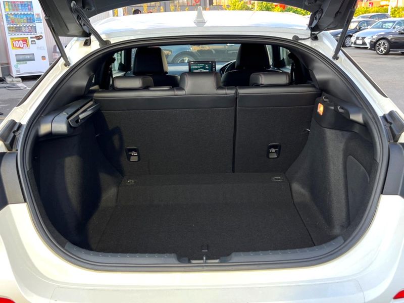 2021 Honda Civic 6BA-FL1 (UW-6a8d06dc5c504)[16]