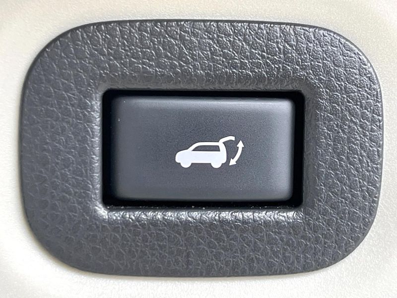 2019 Nissan X-Trail DBA-NT32 (UW-6a8d09215a131)[9]