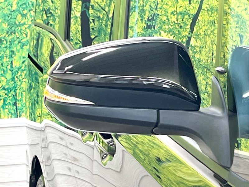 2017 Toyota Voxy DBA-ZRR80W (UW-6a8d09c972942)[19]
