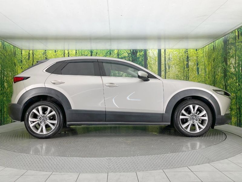 2022 Mazda CX-30 5AA-DMEJ3P (UW-6a8e584036be8)[19]