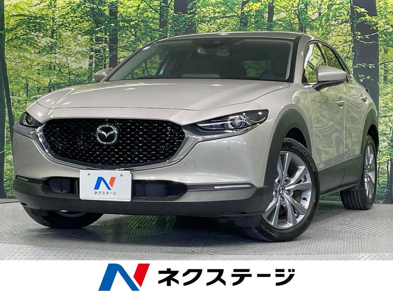 2023 Mazda CX-30 5AA-DMEJ3P (UW-6a8fa9ae4d329)[3]