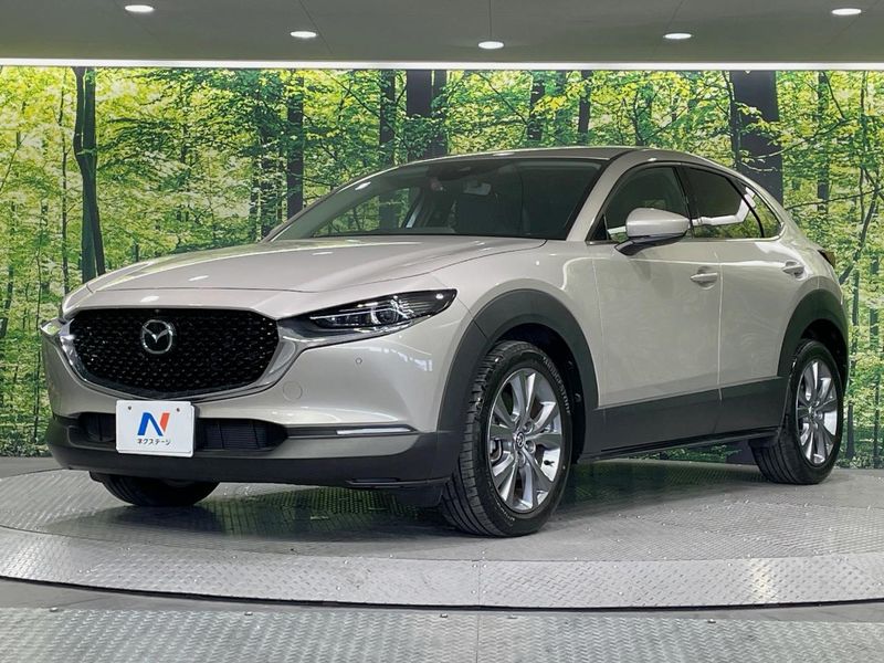 2023 Mazda CX-30 5AA-DMEJ3P (UW-6a8fa9ae4d329)[12]