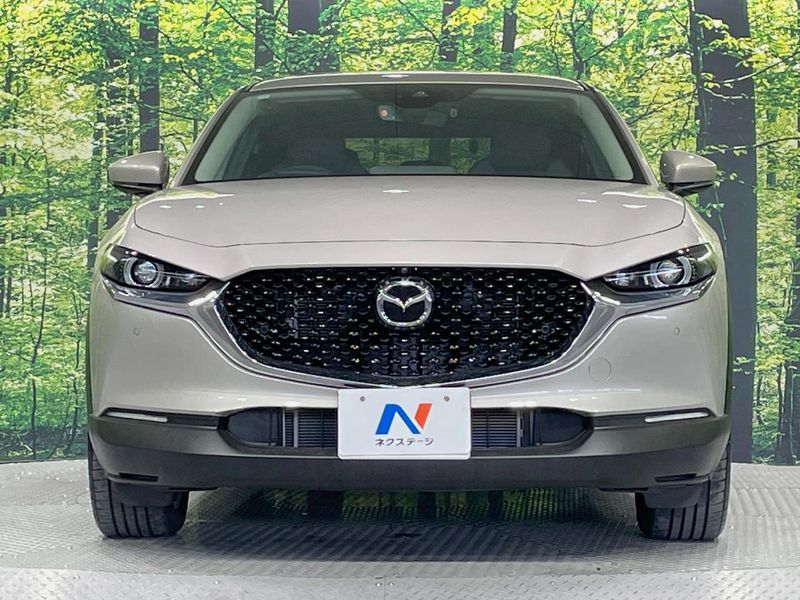 2023 Mazda CX-30 5AA-DMEJ3P (UW-6a8fa9ae4d329)[13]