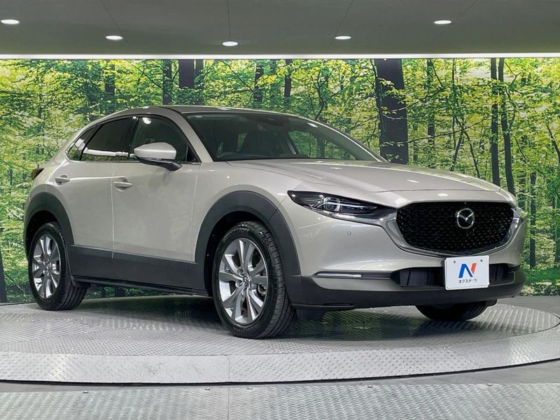 2023 Mazda CX-30 5AA-DMEJ3P (UW-6a8fa9ae4d329)[14]