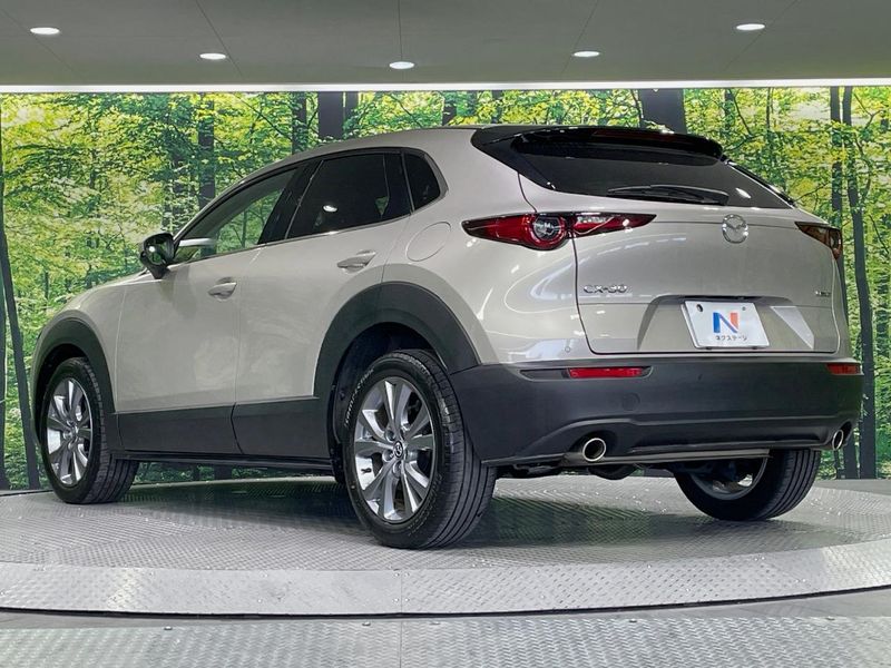 2023 Mazda CX-30 5AA-DMEJ3P (UW-6a8fa9ae4d329)[18]