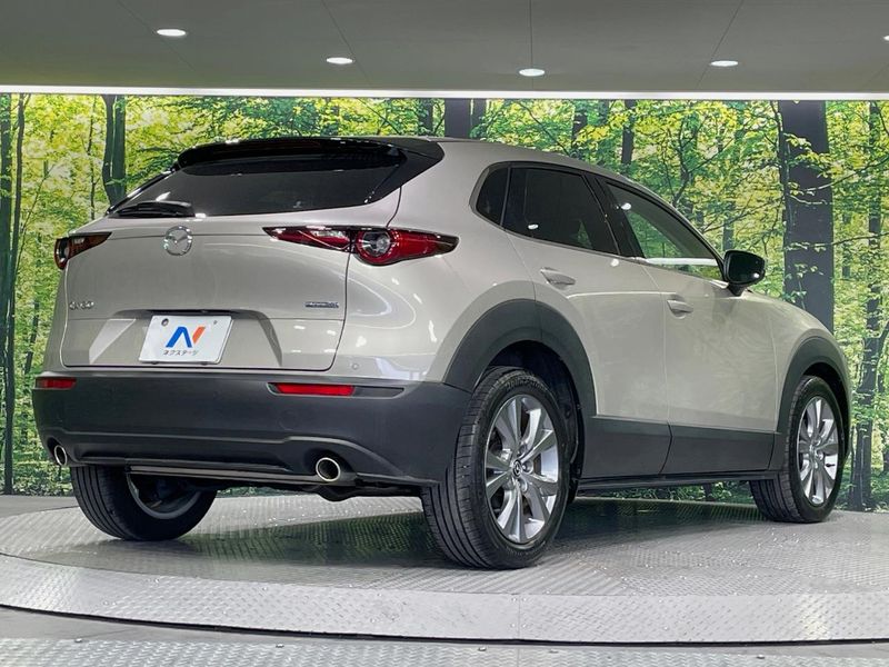 2023 Mazda CX-30 5AA-DMEJ3P (UW-6a8fa9ae4d329)[16]