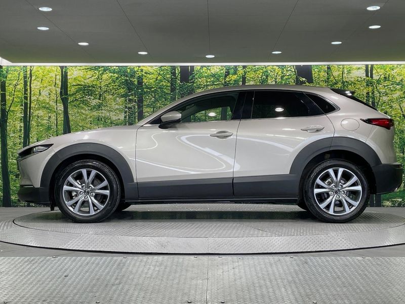 2023 Mazda CX-30 5AA-DMEJ3P (UW-6a8fa9ae4d329)[19]