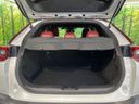 2020 Mazda MX-30 5AA-DREJ3P (UW-6a8fa9b1d30f6)[21]