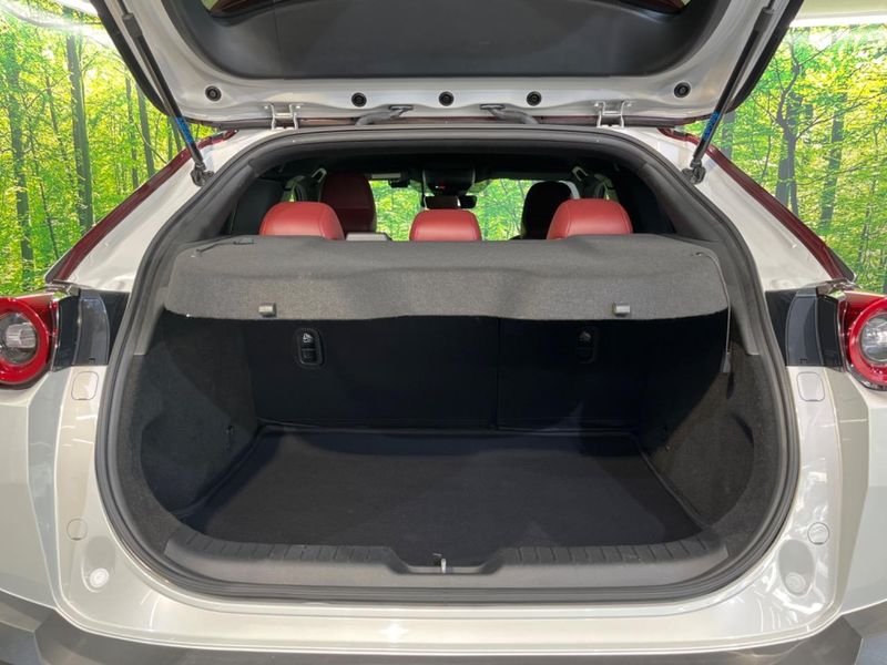 2020 Mazda MX-30 5AA-DREJ3P (UW-6a8fa9b1d30f6)[21]